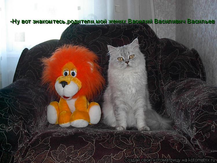 -Ну вот знакомтесь,родители,мой жених Василий Василивич Васильев... Котоматрица: -Ну вот знакомтесь,родители,мой жених Василий Василивич Васильев