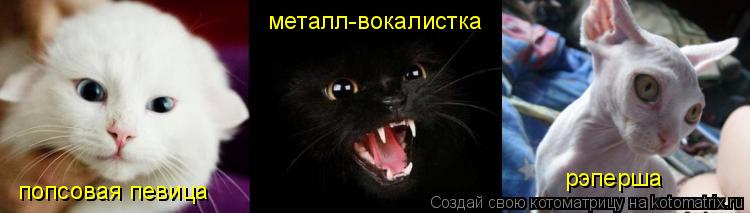 попсовая певица металл-вокалистка рэперша... Котоматрица: попсовая певица металл-вокалистка рэперша