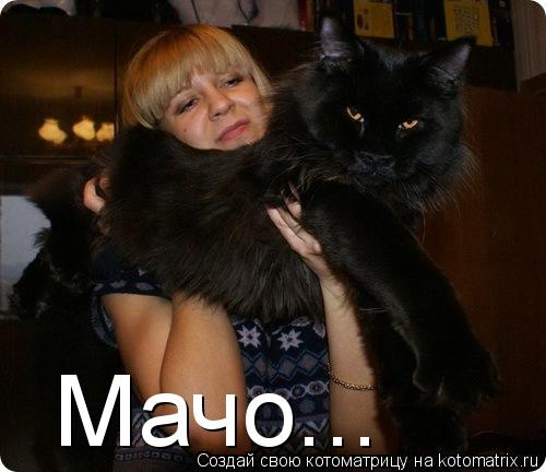 Мачо...... Котоматрица: Мачо...