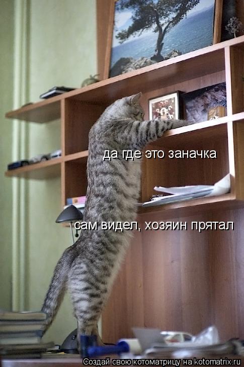 да где это заначка сам видел, хозяин прятал... Котоматрица: да где это заначка сам видел, хозяин прятал