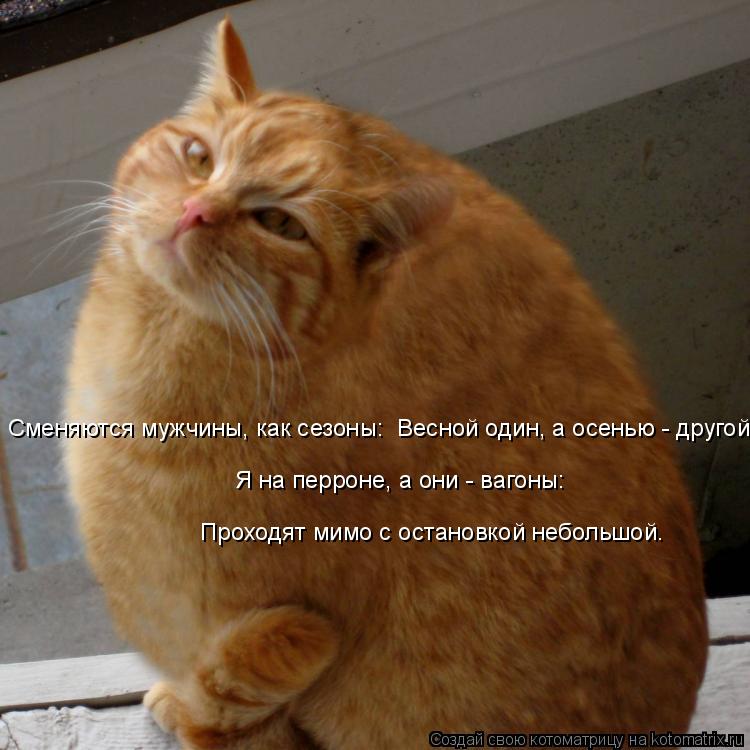 Сменяются мужчины, как сезоны: Весной один, а осенью - другой.. Я на перроне, а они - вагоны: Прохо... Котоматрица: Сменяются мужчины, как сезоны: Весной один, а осенью - другой.. Я на перроне, а они - вагоны: Проходят мимо с остановкой небольшой. Я на перрон