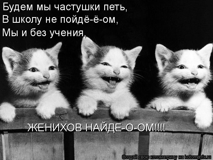 Будем мы частушки петь, В школу не пойдё-ё-ом, Мы и без учения, ЖЕНИХОВ НАЙДЕ-О-ОМ!!!!... Котоматрица: Будем мы частушки петь, В школу не пойдё-ё-ом, Мы и без учения, ЖЕНИХОВ НАЙДЕ-О-ОМ!!!!