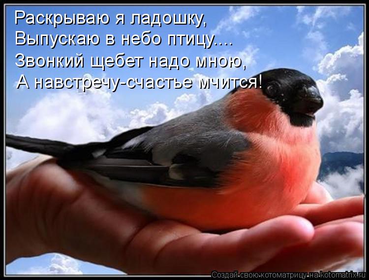 Раскрываю я ладошку, Выпускаю в небо птицу.... Звонкий щебет надо мною, А навстречу-счастье мчится!... Котоматрица: Раскрываю я ладошку, Выпускаю в небо птицу.... Звонкий щебет надо мною, А навстречу-счастье мчится!