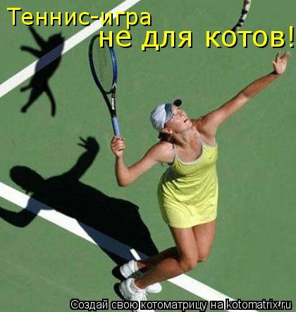 Теннис-игра не для котов!... Котоматрица: Теннис-игра не для котов!