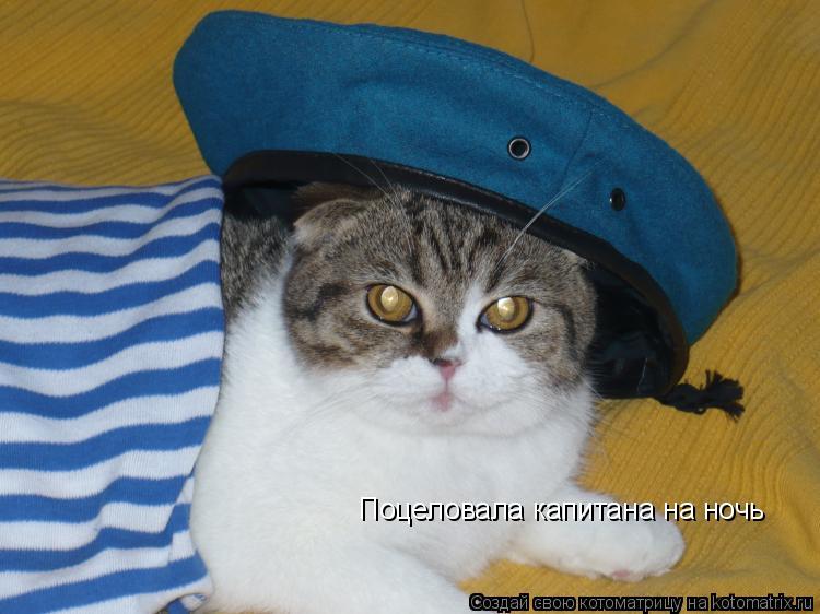 Поцеловала капитана на ночь... Котоматрица: Поцеловала капитана на ночь