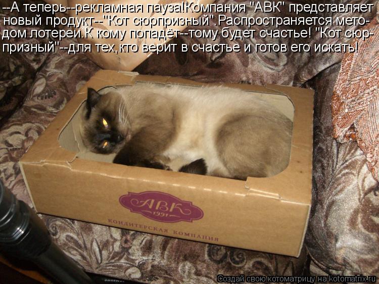 --А теперь--рекламная пауза!Компания "АВК" представляет новый продукт--"Кот сюрпризный".Распространяе... Котоматрица: --А теперь--рекламная пауза!Компания "АВК" представляет новый продукт--"Кот сюрпризный".Распространяется мето- дом лотереи.К кому попадёт--то