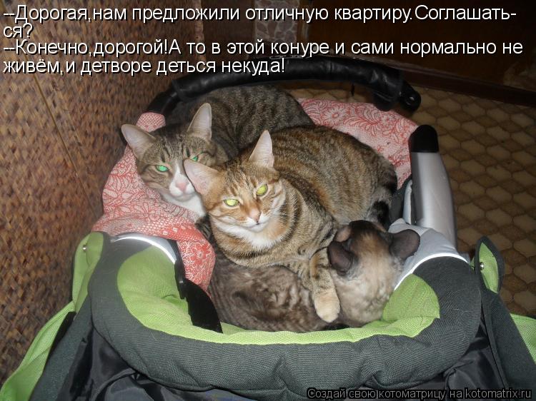--Дорогая,нам предложили отличную квартиру.Соглашать- ся? --Конечно,дорогой!А то в этой конуре и сами... Котоматрица: --Дорогая,нам предложили отличную квартиру.Соглашать- ся? --Конечно,дорогой!А то в этой конуре и сами нормально не живём,и детворе деться нек