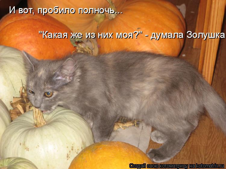 И вот, пробило полночь... "Какая же из них моя?" - думала Золушка.... Котоматрица: И вот, пробило полночь... "Какая же из них моя?" - думала Золушка.
