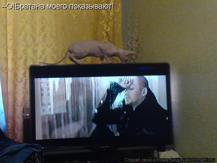 --О!Братана моего показывают!... Котоматрица: --О!Братана моего показывают!