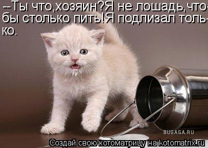 --Ты что,хозяин?Я не лошадь,что- бы столько пить!Я подлизал толь- ко.... Котоматрица: --Ты что,хозяин?Я не лошадь,что- бы столько пить!Я подлизал толь- ко.