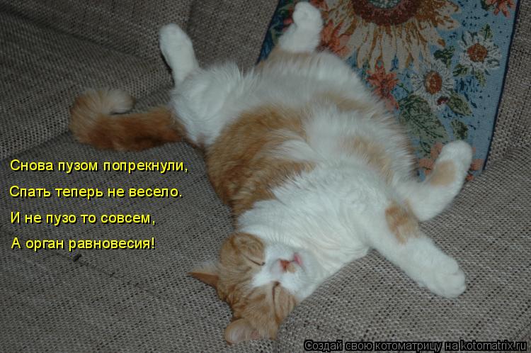 Снова пузом попрекнули, Спать теперь не весело. И не пузо то совсем, А орган равновесия!... Котоматрица: Снова пузом попрекнули, Спать теперь не весело. И не пузо то совсем, А орган равновесия!