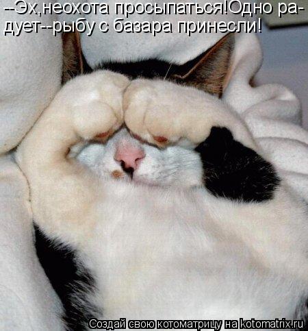 --Эх,неохота просыпаться!Одно ра- дует--рыбу с базара принесли!... Котоматрица: --Эх,неохота просыпаться!Одно ра- дует--рыбу с базара принесли!