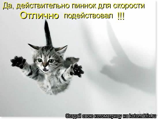 Да, действительно пиннок для скорости Отлично подействовал !!!... Котоматрица: Да, действительно пиннок для скорости Отлично подействовал !!!