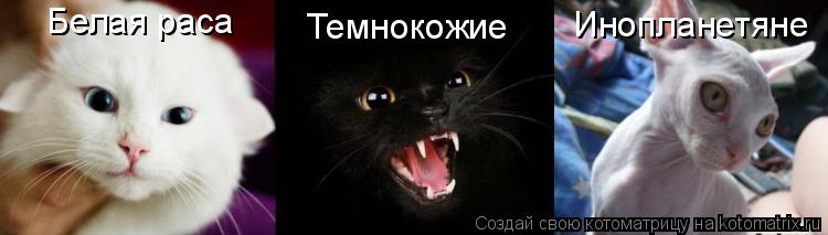 Белая раса Темнокожие Инопланетяне... Котоматрица: Белая раса Темнокожие Инопланетяне