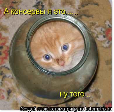 А консервы я это...... ну того...... Котоматрица: А консервы я это...... ну того...