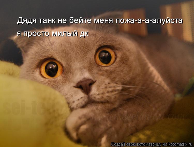 Дядя танк не бейте меня пожа-а-а-алуйста я просто милый дк... Котоматрица: Дядя танк не бейте меня пожа-а-а-алуйста я просто милый дк