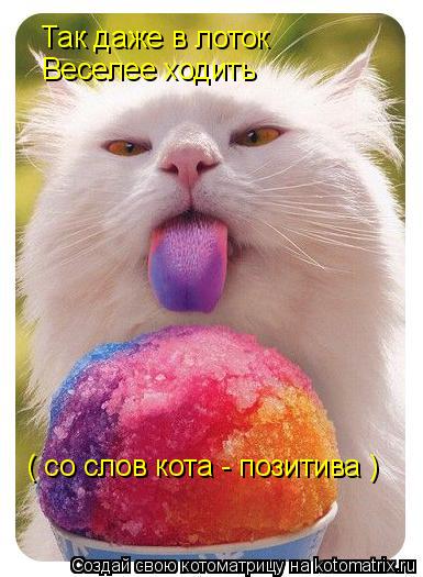 Так даже в лоток Веселее ходить ( со слов кота - позитива )... Котоматрица: Так даже в лоток Веселее ходить ( со слов кота - позитива )