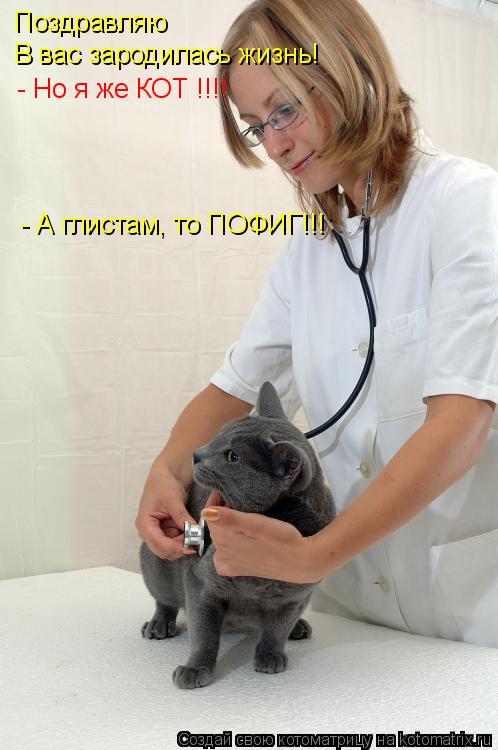 Поздравляю В вас зародилась жизнь! - Но я же КОТ !!!! - А глистам, то ПОФИГ!!!... Котоматрица: Поздравляю В вас зародилась жизнь! - Но я же КОТ !!!! - А глистам, то ПОФИГ!!!