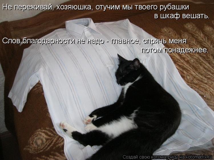 Не переживай, хозяюшка, отучим мы твоего рубашки в шкаф вешать. Слов благодарности не надо - главное... Котоматрица: Не переживай, хозяюшка, отучим мы твоего рубашки в шкаф вешать. Слов благодарности не надо - главное, спрячь меня потом понадежнее.