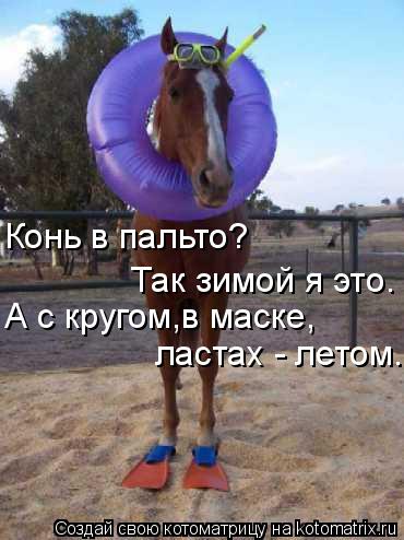 Конь в пальто? Так зимой я это. А с кругом,в маске, ластах - летом.... Котоматрица: Конь в пальто? Так зимой я это. А с кругом,в маске, ластах - летом.