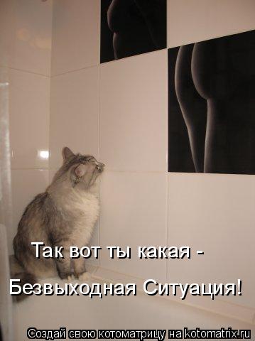 Так вот ты какая - Безвыходная Ситуация!... Котоматрица: Так вот ты какая - Безвыходная Ситуация!