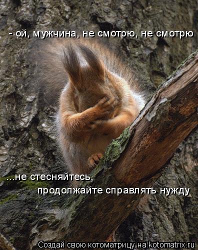 - ой, мужчина, не смотрю, не смотрю ...не стесняйтесь, продолжайте справлять нужду... Котоматрица: - ой, мужчина, не смотрю, не смотрю ...не стесняйтесь, продолжайте справлять нужду