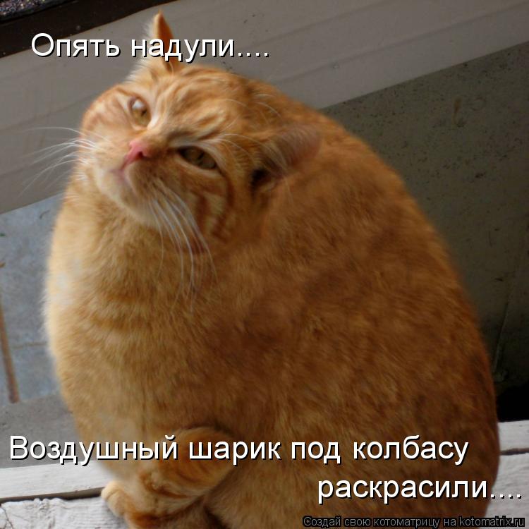Опять надули.... Воздушный шарик под колбасу раскрасили....... Котоматрица: Опять надули.... Воздушный шарик под колбасу раскрасили....