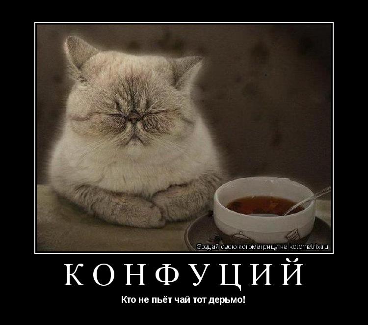 Конфуций Кто не пьёт чай тот дерьмо!... Котоматрица: Конфуций Кто не пьёт чай тот дерьмо!