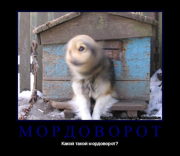 Мордоворот Какой такой мордоворот?... Котоматрица: Мордоворот Какой такой мордоворот?
