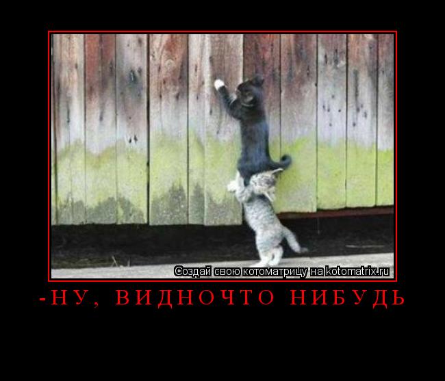-ну, видночто нибудь ... Котоматрица: -ну, видночто нибудь