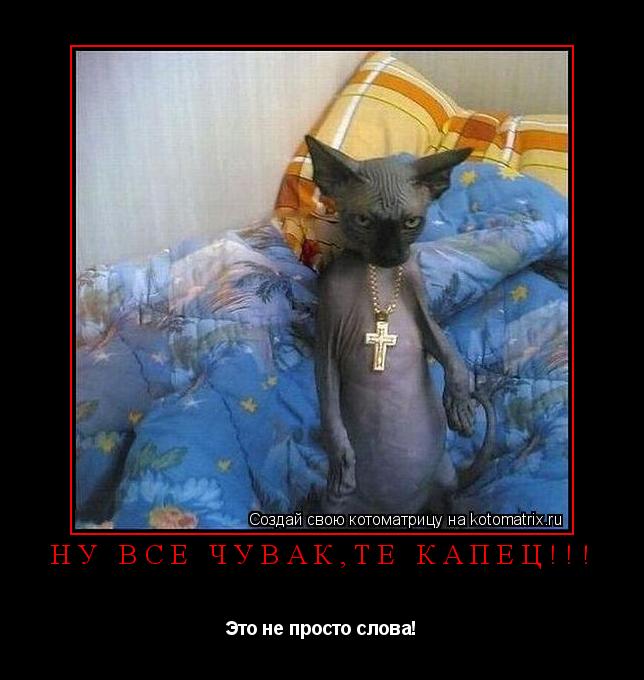 НУ ВСЕ ЧУВАК,ТЕ КАПЕЦ!!! Это не просто слова!... Котоматрица: НУ ВСЕ ЧУВАК,ТЕ КАПЕЦ!!! Это не просто слова!