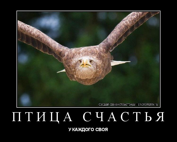 Птица счастья У КАЖДОГО СВОЯ... Котоматрица: Птица счастья У КАЖДОГО СВОЯ