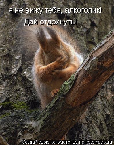 я не вижу тебя, алкоголик! Дай отдохнуть!... Котоматрица: я не вижу тебя, алкоголик! Дай отдохнуть!