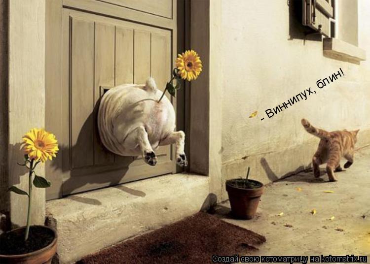 - Виннипух, блин!... Котоматрица: - Виннипух, блин!