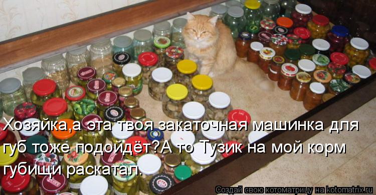 Хозяйка,а эта твоя закаточная машинка для губ тоже подойдёт?А то Тузик на мой корм губищи раскатал.... Котоматрица: Хозяйка,а эта твоя закаточная машинка для губ тоже подойдёт?А то Тузик на мой корм губищи раскатал.