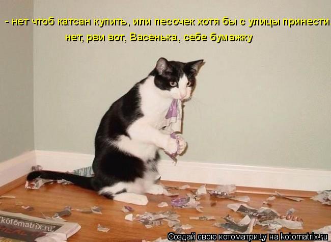 - нет чтоб катсан купить, или песочек хотя бы с улицы принести.... нет, рви вот, Васенька, себе бумаж... Котоматрица: - нет чтоб катсан купить, или песочек хотя бы с улицы принести.... нет, рви вот, Васенька, себе бумажку