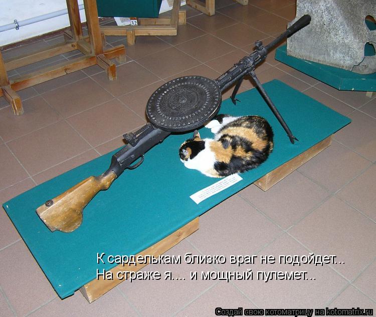 К сарделькам близко враг не подойдет... На страже я.... и мощный пулемет...... Котоматрица: К сарделькам близко враг не подойдет... На страже я.... и мощный пулемет...