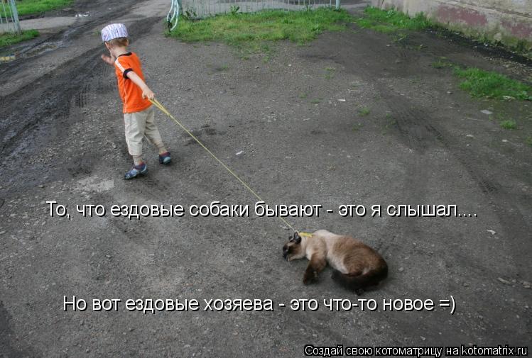 То, что ездовые собаки бывают - это я слышал.... Но вот ездовые хозяева - это что-то новое =)... Котоматрица: То, что ездовые собаки бывают - это я слышал.... Но вот ездовые хозяева - это что-то новое =)