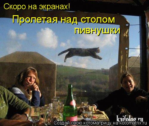 Скоро на экранах! Пролетая над столом пивнушки... Котоматрица: Скоро на экранах! Пролетая над столом пивнушки