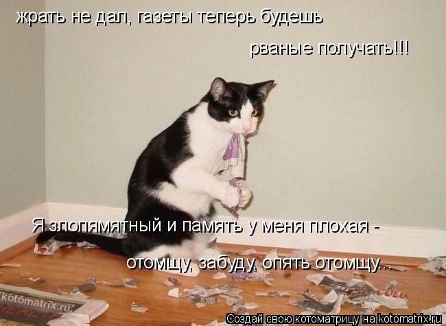 жрать не дал, газеты теперь будешь рваные получать!!! Я злопямятный и память у меня плохая - отомщу,... Котоматрица: жрать не дал, газеты теперь будешь рваные получать!!! Я злопямятный и память у меня плохая - отомщу, забуду, опять отомщу...