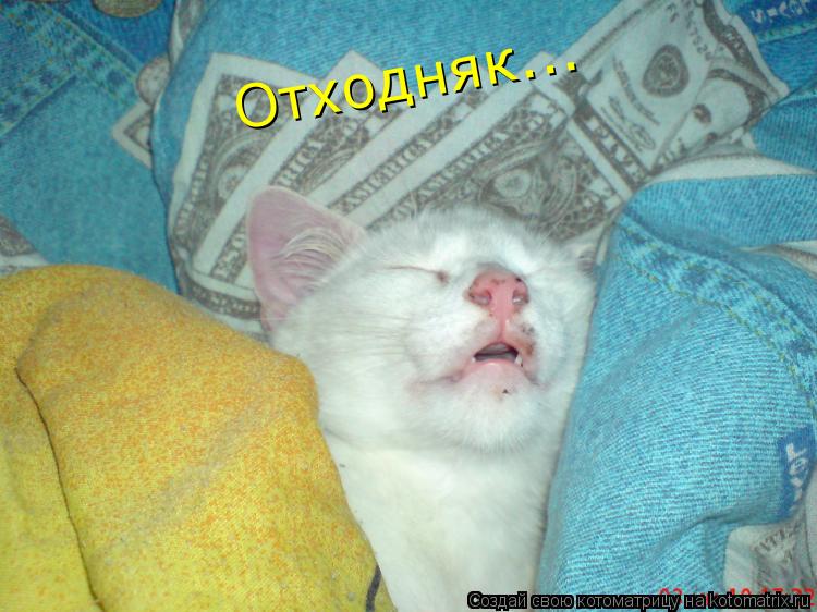 Отходняк...... Котоматрица: Отходняк...