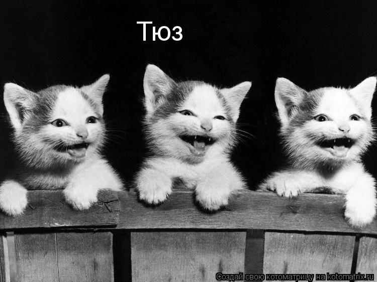Тюз... Котоматрица: Тюз