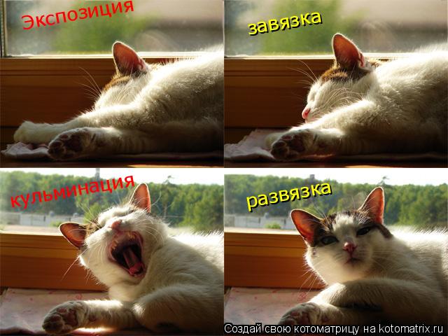 Экспозиция завязка кульминация развязка... Котоматрица: Экспозиция завязка кульминация развязка