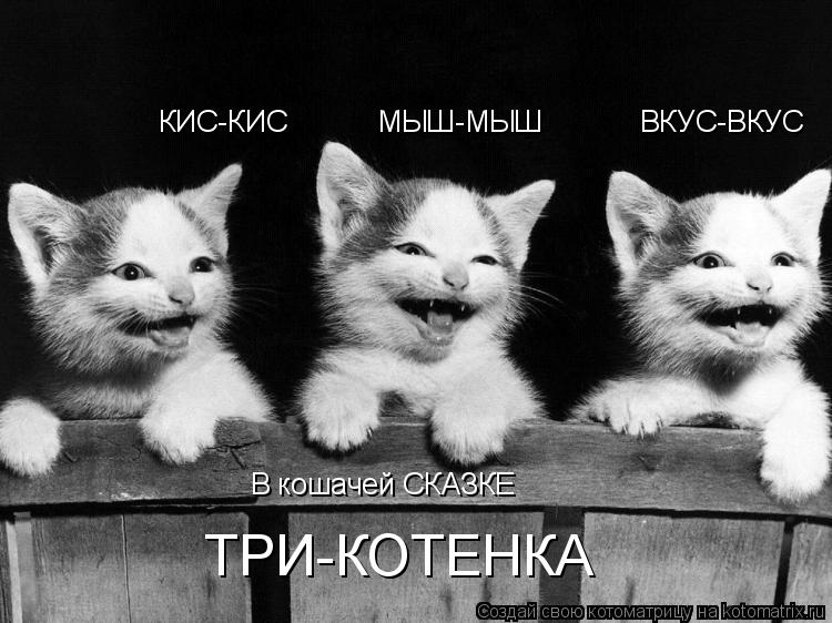 В кошачей СКАЗКЕ КИС-КИС МЫШ-МЫШ ВКУС-ВКУС ТРИ-КОТЕНКА... Котоматрица: В кошачей СКАЗКЕ КИС-КИС МЫШ-МЫШ ВКУС-ВКУС ТРИ-КОТЕНКА