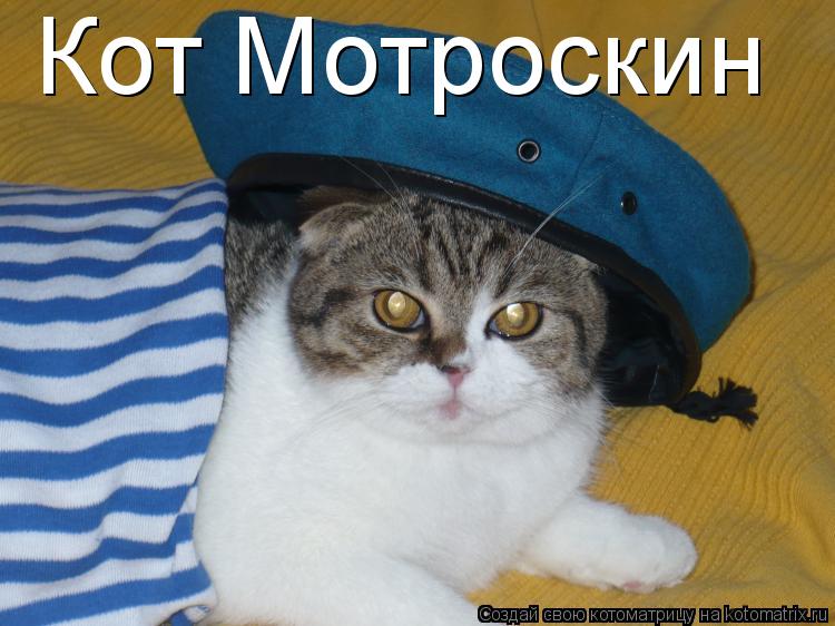 Кот Мотроскин... Котоматрица: Кот Мотроскин