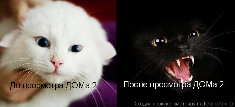 До просмотра ДОМа 2 После просмотра ДОМа 2... Котоматрица: До просмотра ДОМа 2 После просмотра ДОМа 2