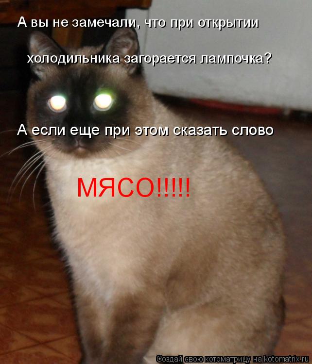 А вы не замечали, что при открытии холодильника загорается лампочка? А если еще при этом сказать сло... Котоматрица: А вы не замечали, что при открытии холодильника загорается лампочка? А если еще при этом сказать слово МЯСО!!!!!