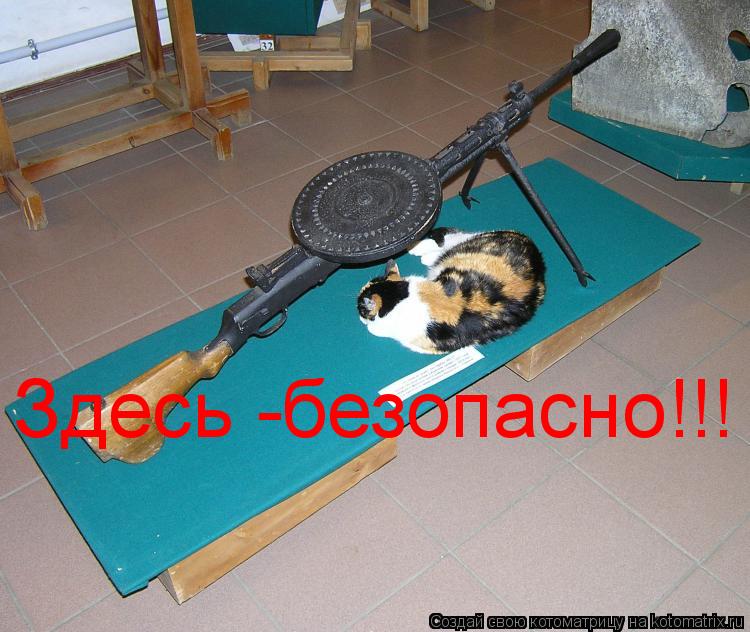 Здесь -безопасно!!!... Котоматрица: Здесь -безопасно!!!