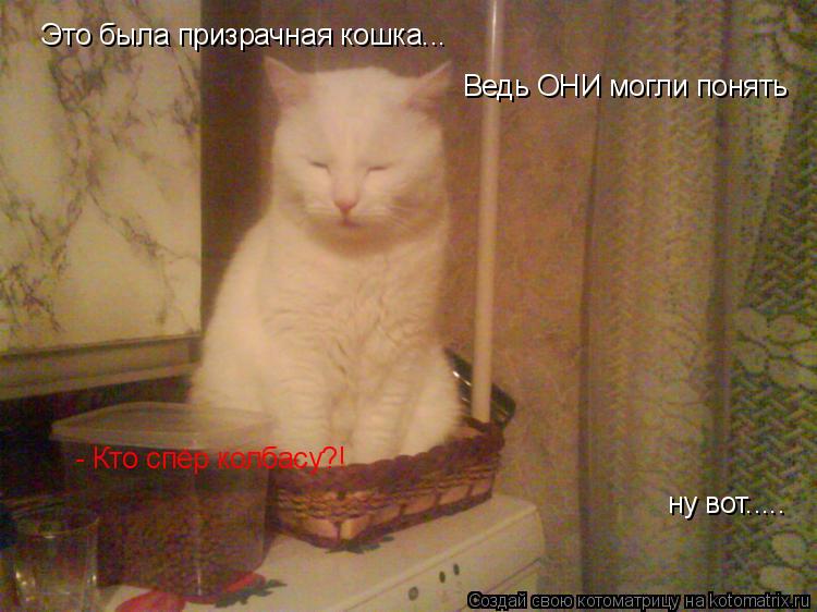 Это была призрачная кошка... Ведь ОНИ могли понять - Кто спёр колбасу?! ну вот........ Котоматрица: Это была призрачная кошка... Ведь ОНИ могли понять - Кто спёр колбасу?! ну вот.....