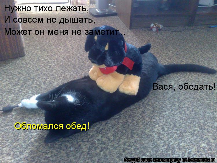 Нужно тихо лежать, И совсем не дышать, Может он меня не заметит... Вася, обедать! Обломался обед!... Котоматрица: Нужно тихо лежать, И совсем не дышать, Может он меня не заметит... Вася, обедать! Обломался обед!